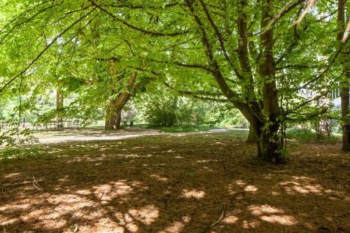 Outdoor Pictures 7
