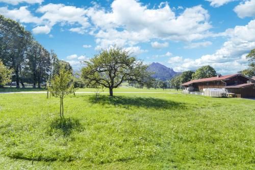 Outdoor Pictures 23