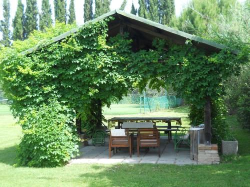 Outdoor Pictures 24