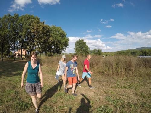 Outdoor Pictures 6