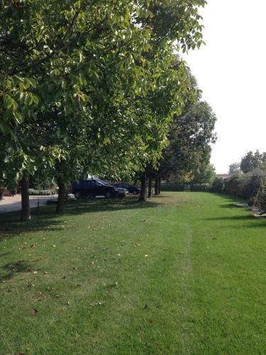 Outdoor Pictures 8