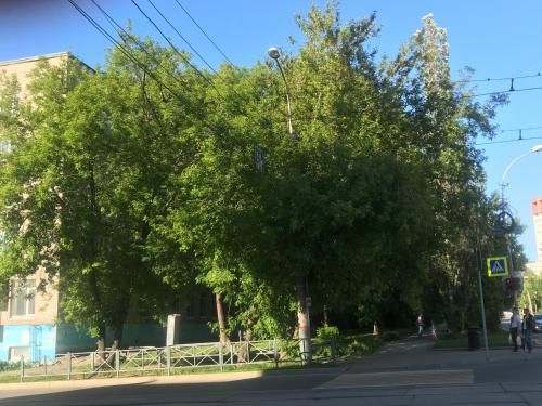 Outdoor Pictures 2