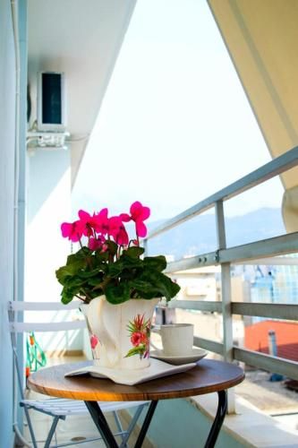 Outdoor Pictures 22