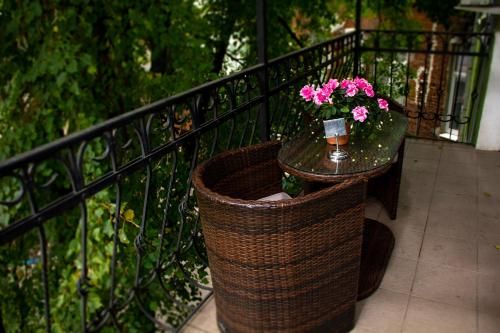 Outdoor Pictures 21