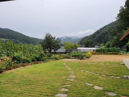 Outdoor Pictures 6