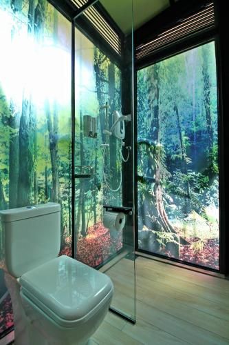 Outdoor Pictures 9