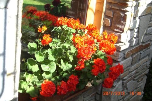 Outdoor Pictures 4
