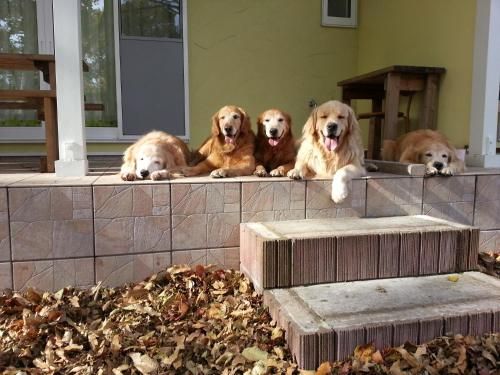 Outdoor Pictures 6