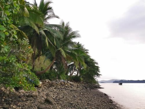 Hotel Pura Vida BackPackers Golfito