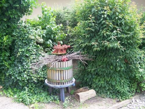 Outdoor Pictures 5