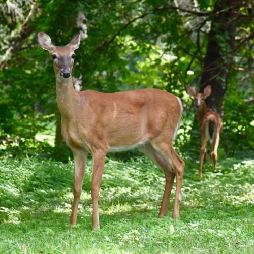 Outdoor Pictures 21
