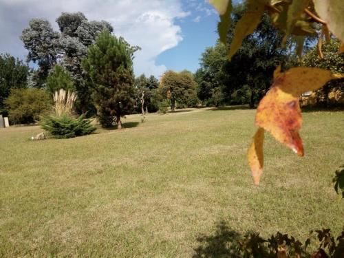 Outdoor Pictures 4