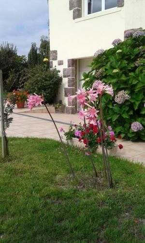 Outdoor Pictures 15