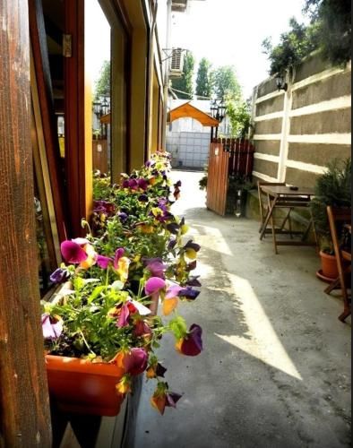 Outdoor Pictures 7