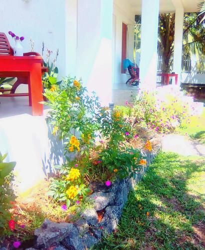 Outdoor Pictures 21