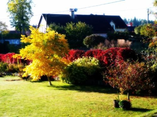 Outdoor Pictures 23