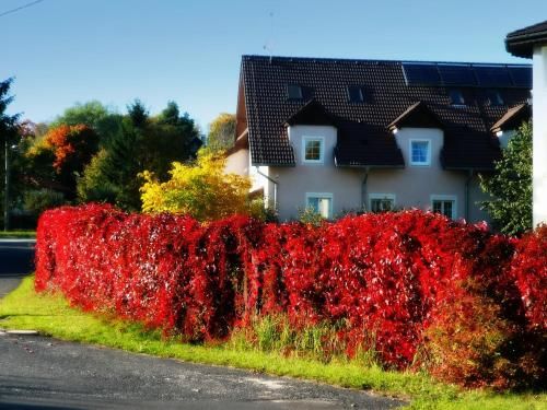 Outdoor Pictures 24