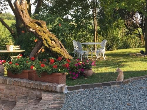 Outdoor Pictures 20