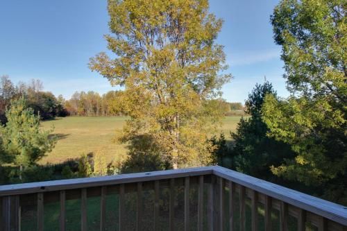 Outdoor Pictures 17