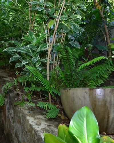 Outdoor Pictures 17