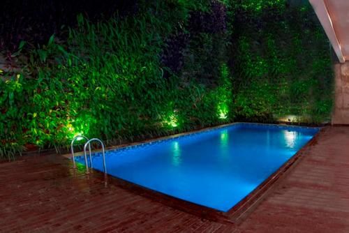 Outdoor Pictures 24