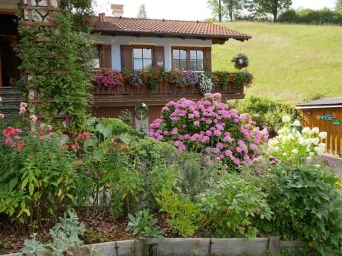 Outdoor Pictures 21
