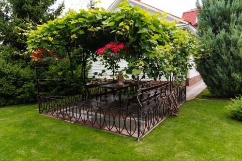 Outdoor Pictures 22