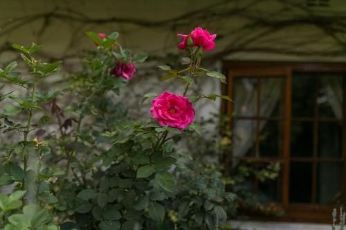 Outdoor Pictures 19