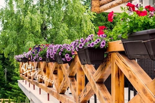 Outdoor Pictures 19