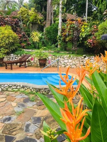 Outdoor Pictures 23