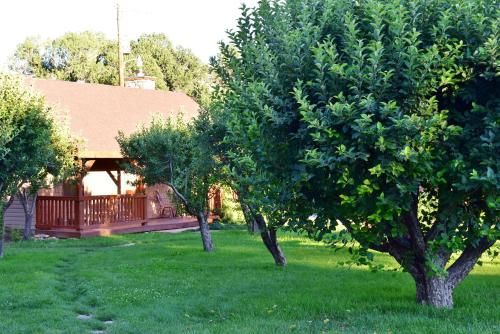 Arrowhead Country Inn and Cabins