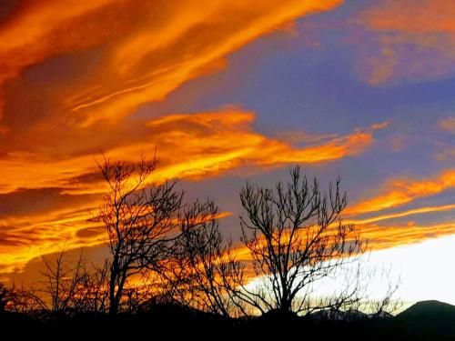 Outdoor Pictures 15