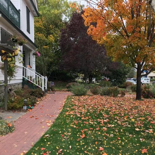Outdoor Pictures 7