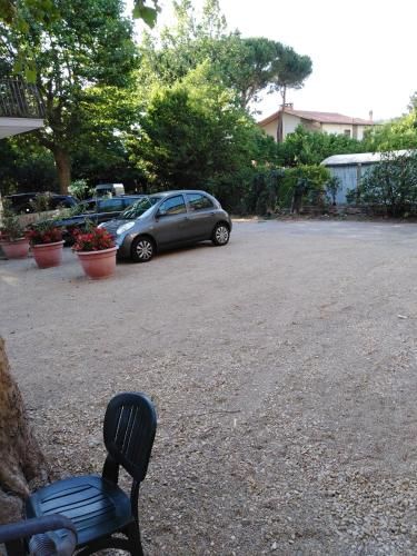 Outdoor Pictures 8