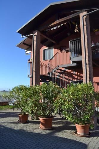 Outdoor Pictures 1