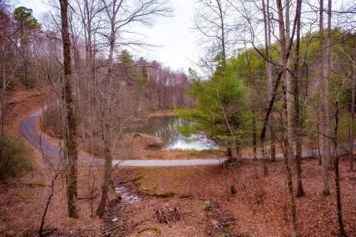 Outdoor Pictures 12