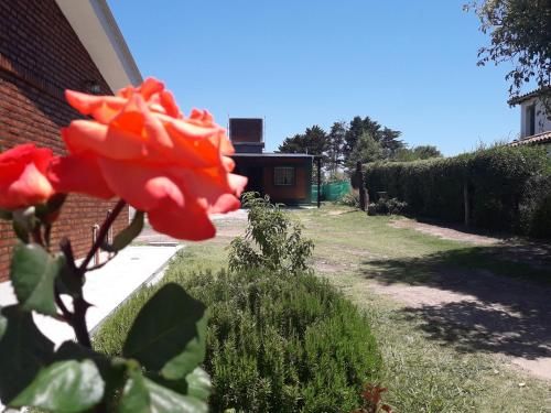 Outdoor Pictures 12