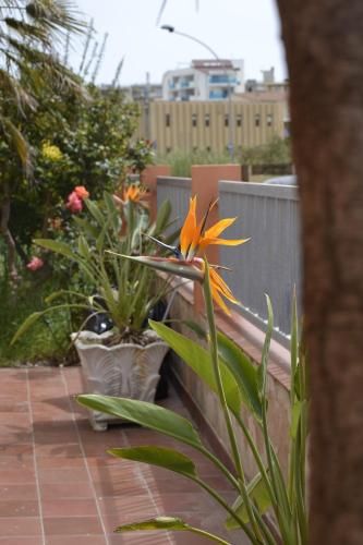 Outdoor Pictures 21