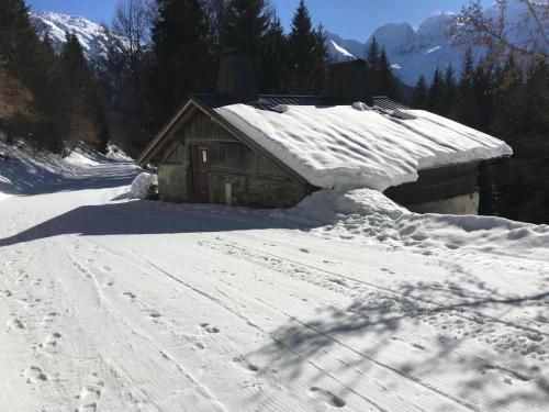 Fizhome Mt Blanc