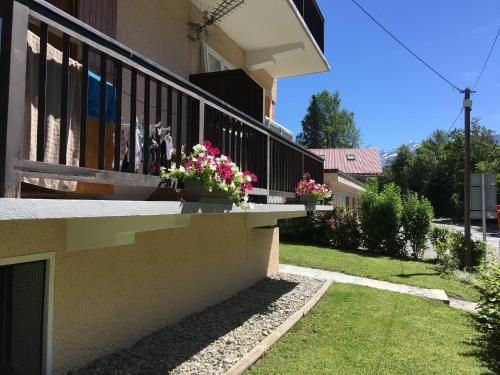 Outdoor Pictures 9