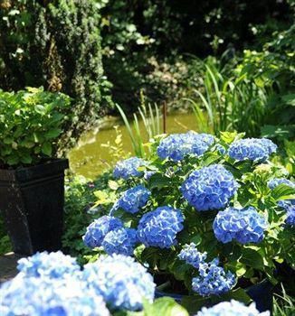 Outdoor Pictures 22