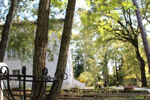 Outdoor Pictures 24