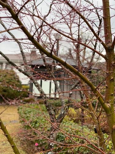 Outdoor Pictures 7