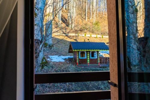 Outdoor Pictures 13