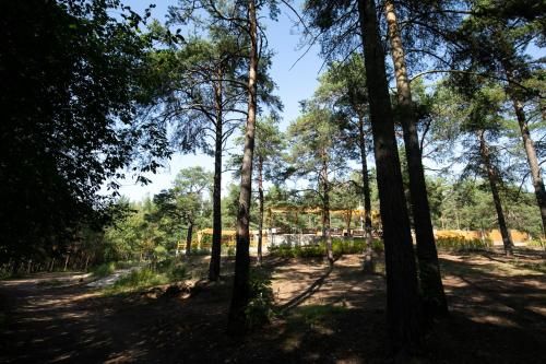 Outdoor Pictures 22