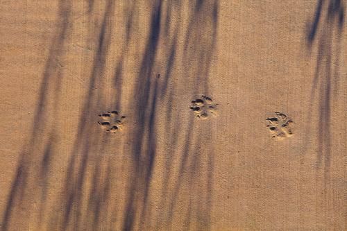 Outdoor Pictures 21