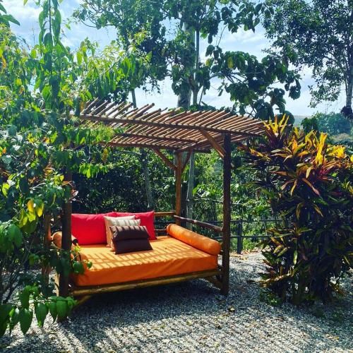 Outdoor Pictures 9
