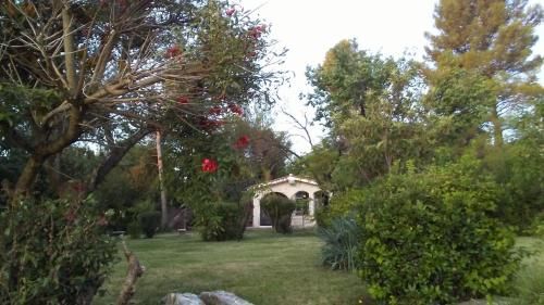 Outdoor Pictures 24