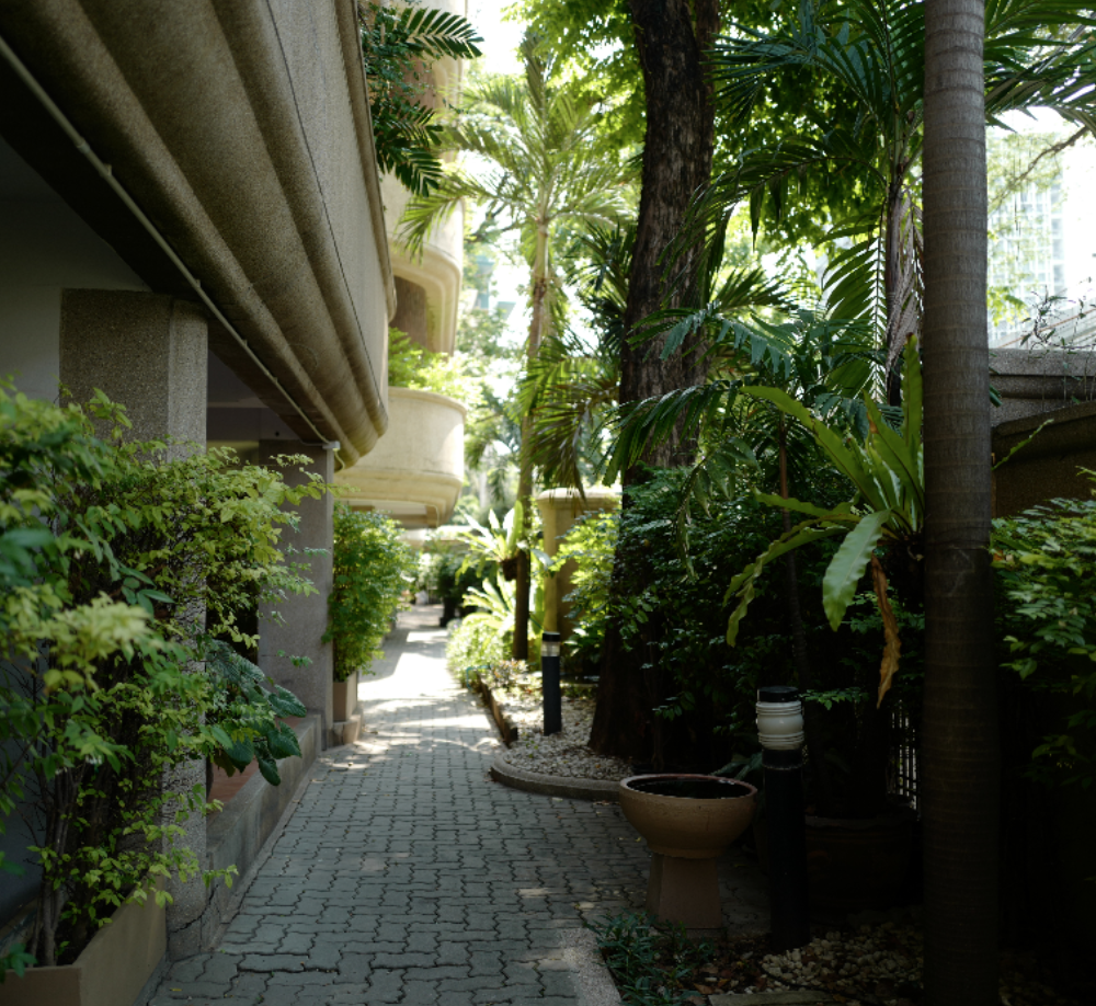 Outdoor Pictures 5