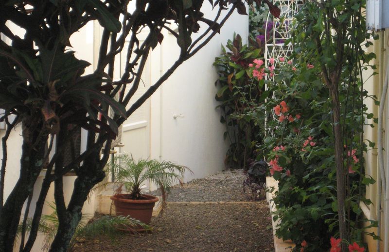 Le Cactus Guest House